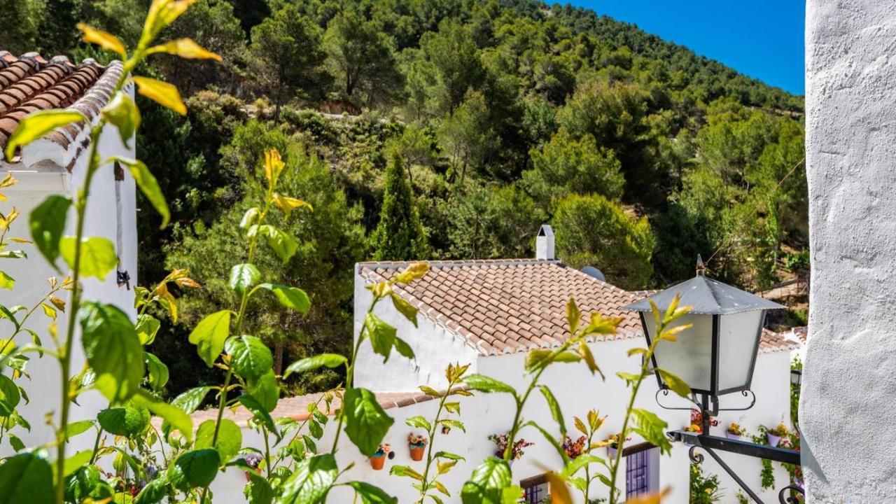 Casa Alhama Frigiliana By Ruralidays Βίλα Εξωτερικό φωτογραφία
